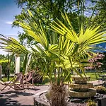 Sopherl Am - Fruehstueck Auf Der Seeterrasse, Sehr Ruhig Und Wunderschoen Am See, 3 Minuten Nach Oberpfaffenhofen, Viele Radtouren, Restaurants & Cafes In Der Umgebung Hotel 3*