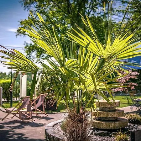 Sopherl Am - Fruehstueck Auf Der Seeterrasse, Sehr Ruhig Und Wunderschoen Am See, 3 Minuten Nach Oberpfaffenhofen, Viele Radtouren, Restaurants & Cafes In Der Umgebung Hotel 3*