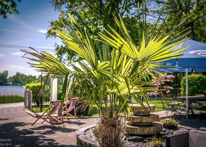 Sopherl Am - Fruehstueck Auf Der Seeterrasse, Sehr Ruhig Und Wunderschoen Am See, 3 Minuten Nach Oberpfaffenhofen, Viele Radtouren, Restaurants & Cafes In Der Umgebung Hotel 3*